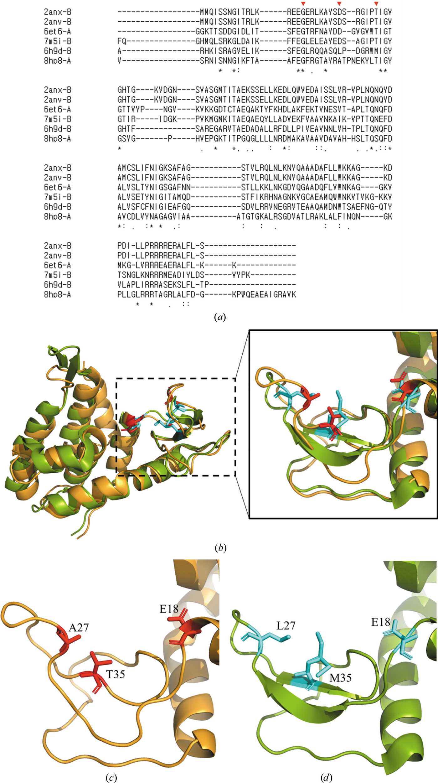 (IUCr) Crystal structure of the engineered endolysin mtEC340M