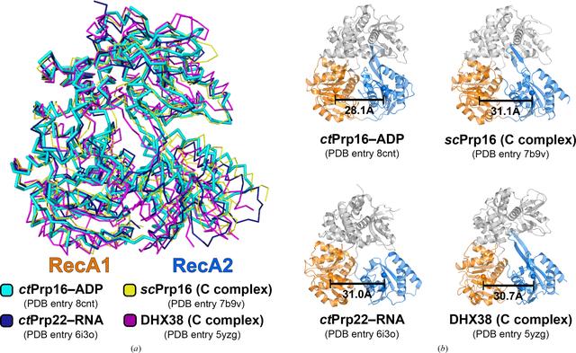 [Figure 4]