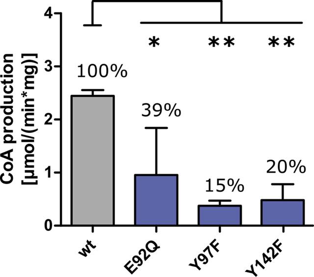 [Figure 3]