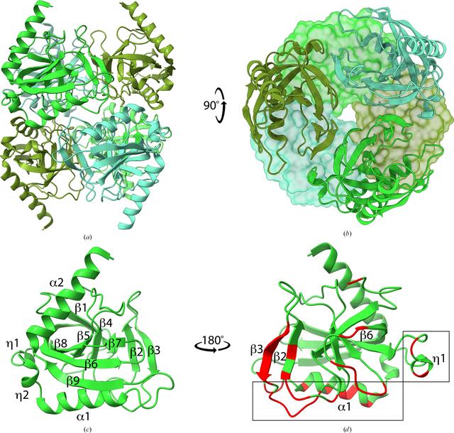 (IUCr) Characterization of a family I inorganic pyrophosphatase from ...