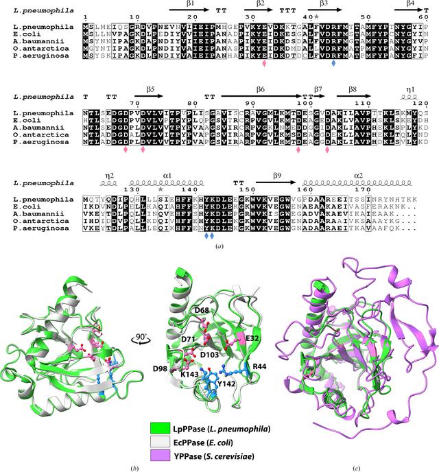 (IUCr) Characterization of a family I inorganic pyrophosphatase from ...