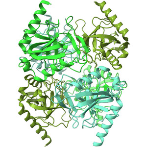 (IUCr) Characterization of a family I inorganic pyrophosphatase from ...
