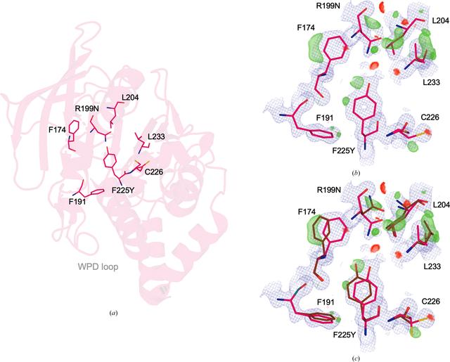 [Figure 5]