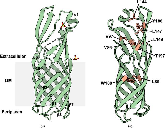 [Figure 2]