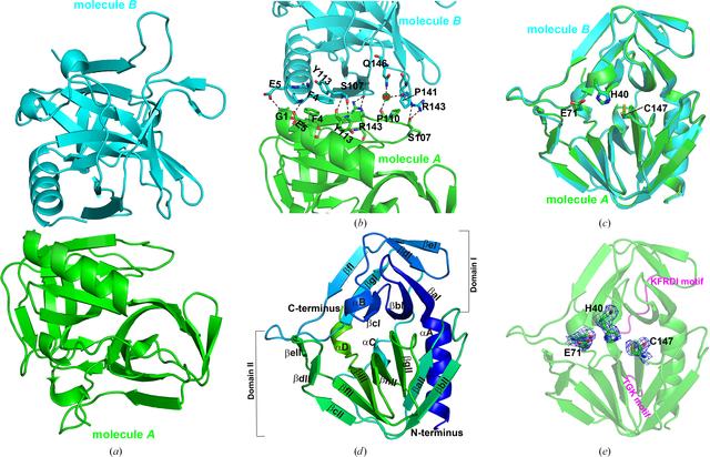 [Figure 2]