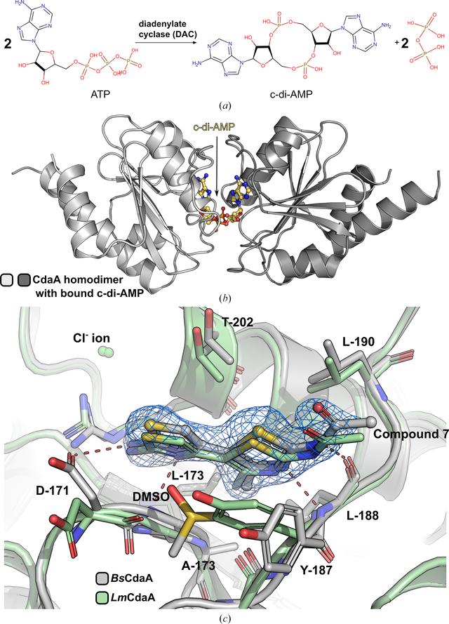 [Figure 1]