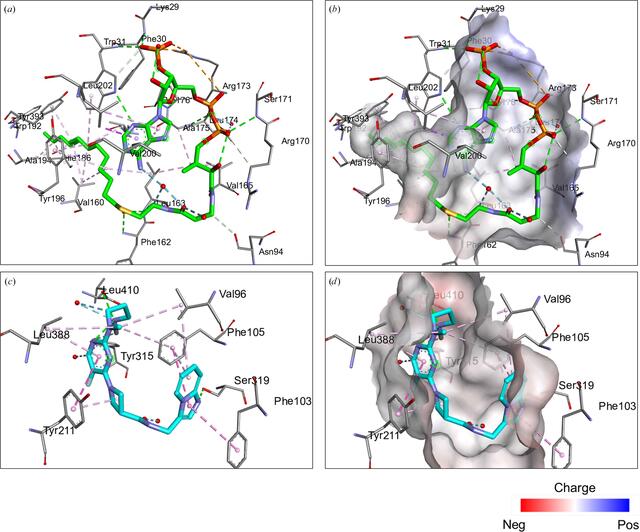 [Figure 2]