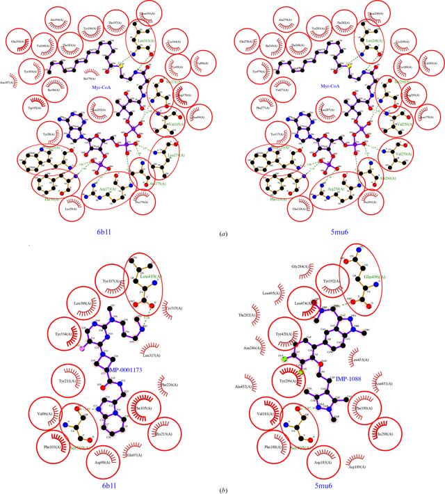 [Figure 4]