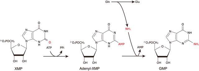 [Figure 1]