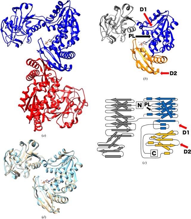 [Figure 2]