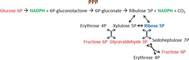 [Figure 1]