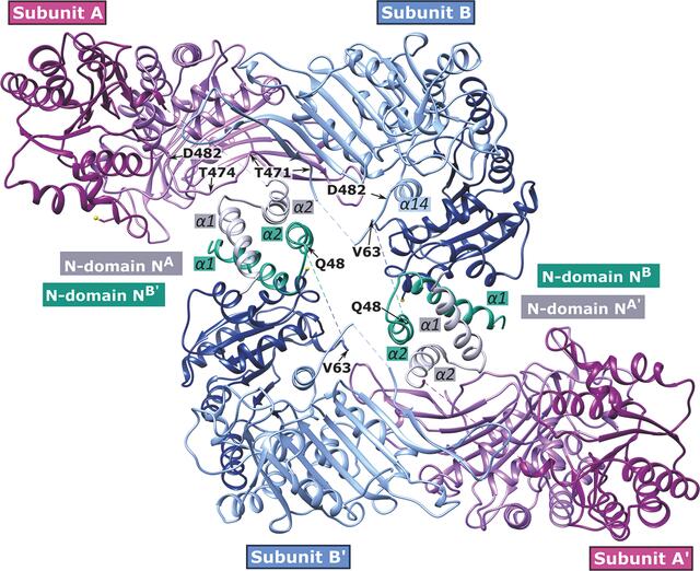 [Figure 12]