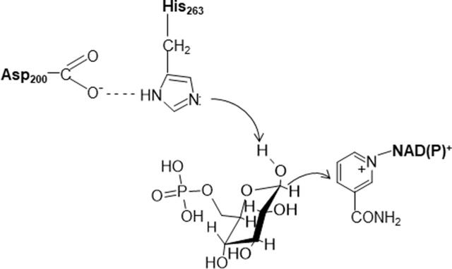 [Figure 6]