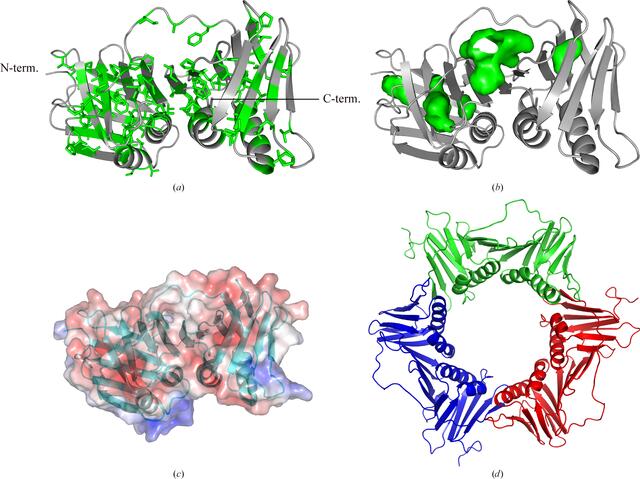 [Figure 4]