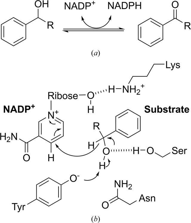 [Figure 1]