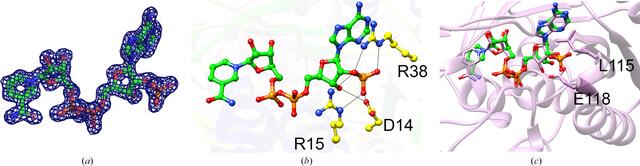 [Figure 3]