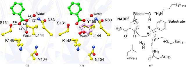 [Figure 5]