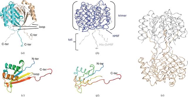 [Figure 1]