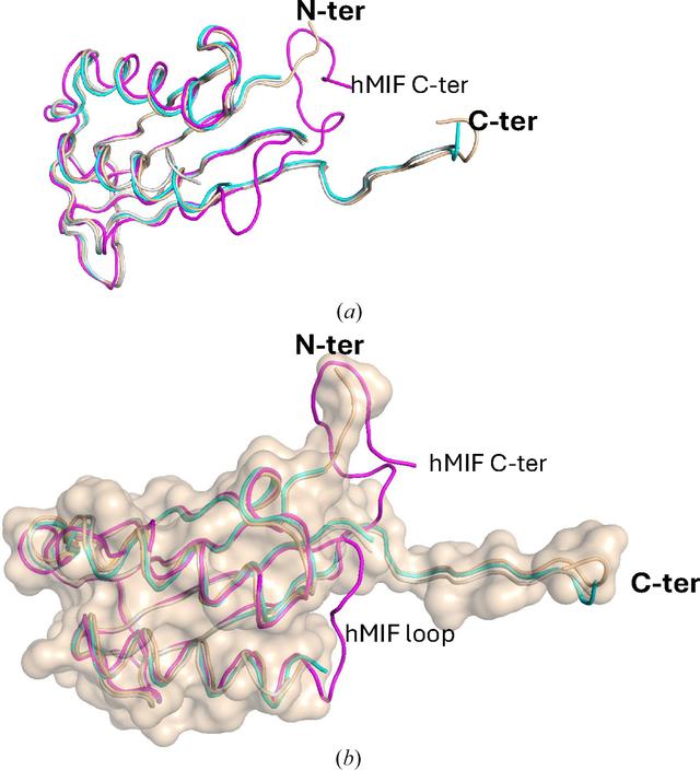 [Figure 2]