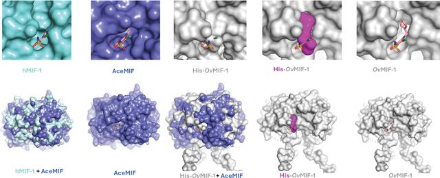 [Figure 3]