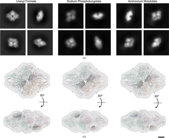 [Figure 4]