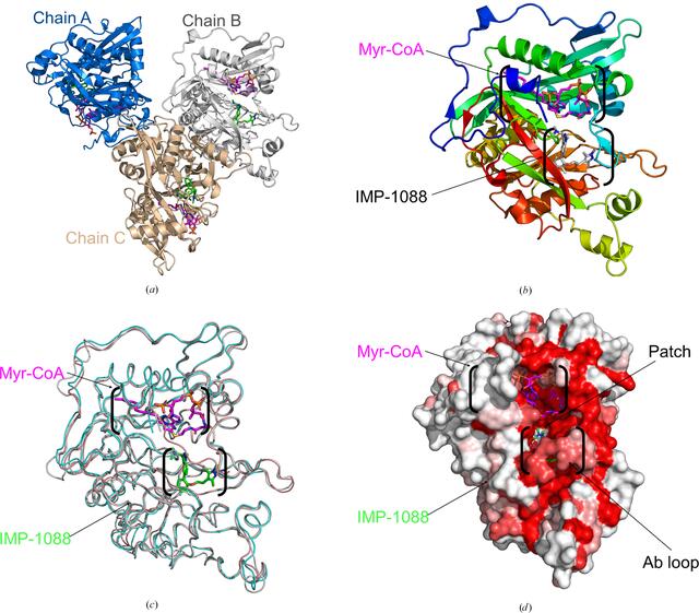 [Figure 1]