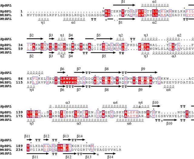 [Figure 4]