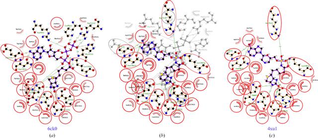 [Figure 5]