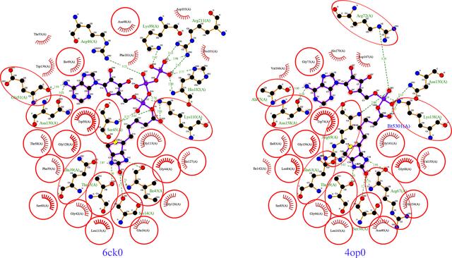 [Figure 6]