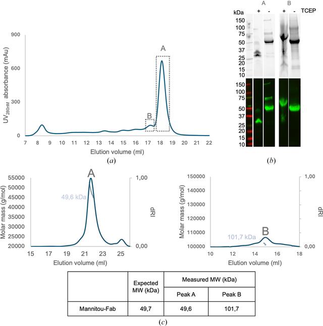 [Figure 1]