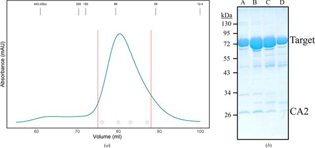 [Figure 1]