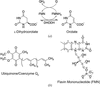 [Figure 1]