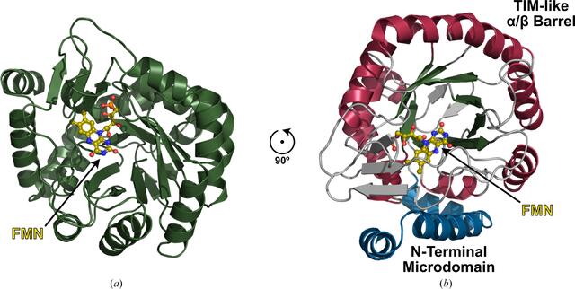 [Figure 2]