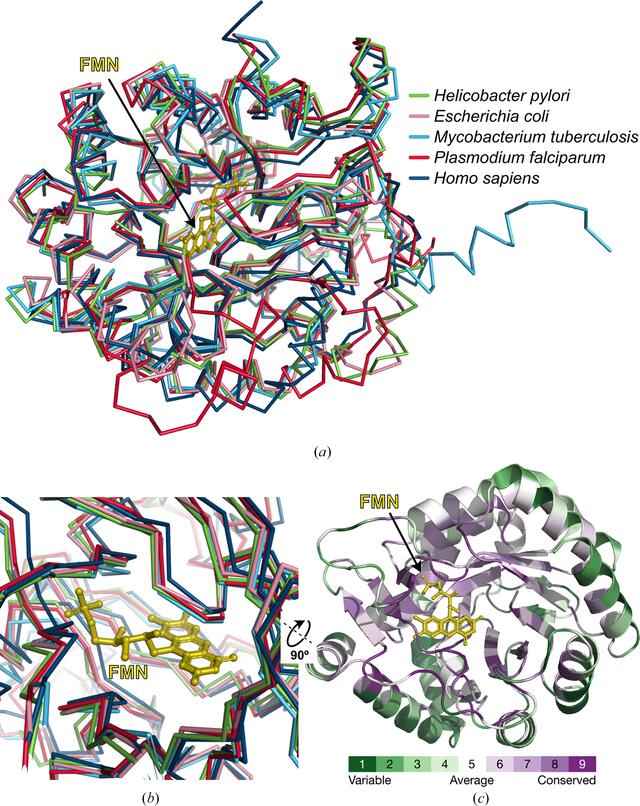 [Figure 3]