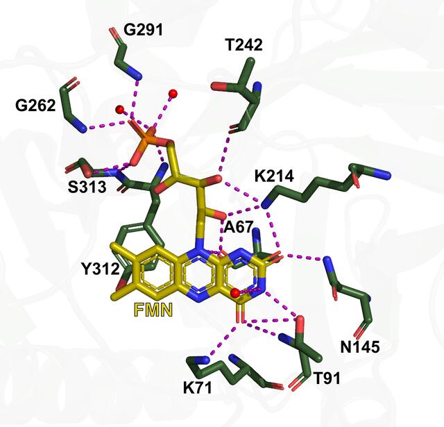 [Figure 4]