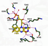 [Figure 4]