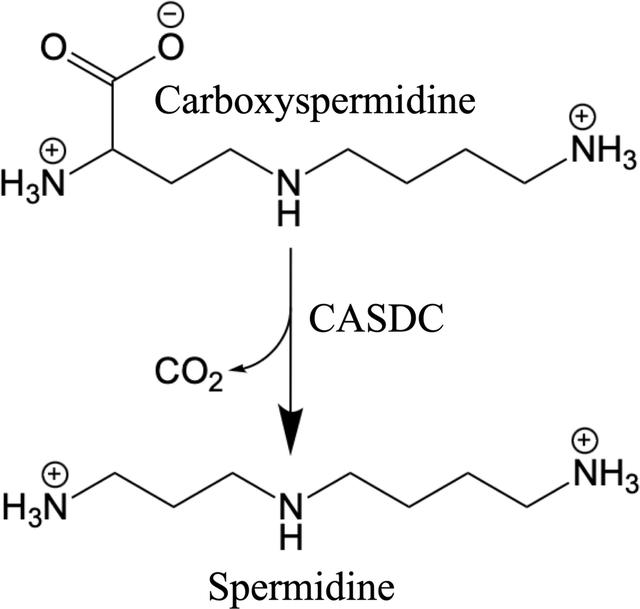 [Figure 1]