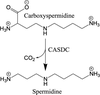 [Figure 1]