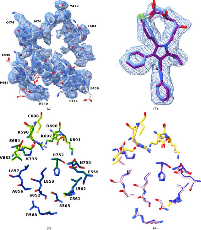 [Figure 1]