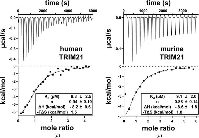 [Figure 2]