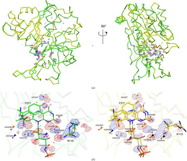 [Figure 1]