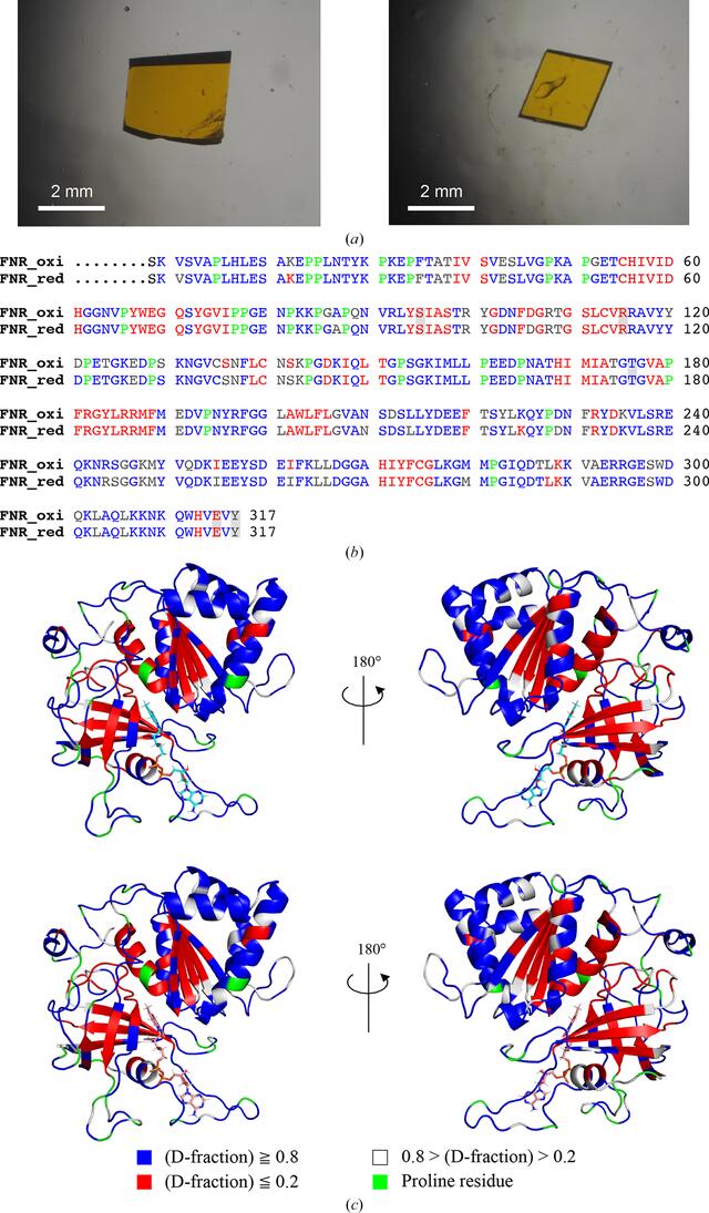 [Figure 2]