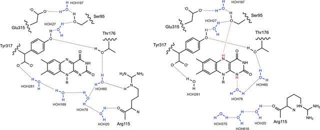 [Figure 5]