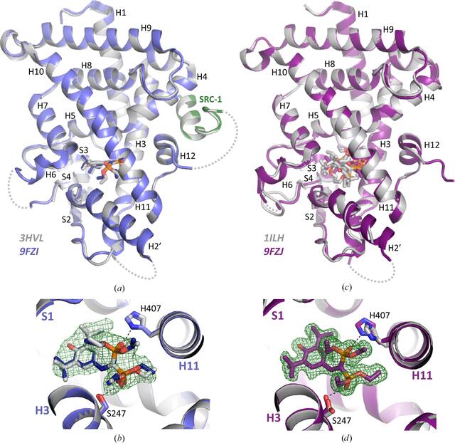 [Figure 3]