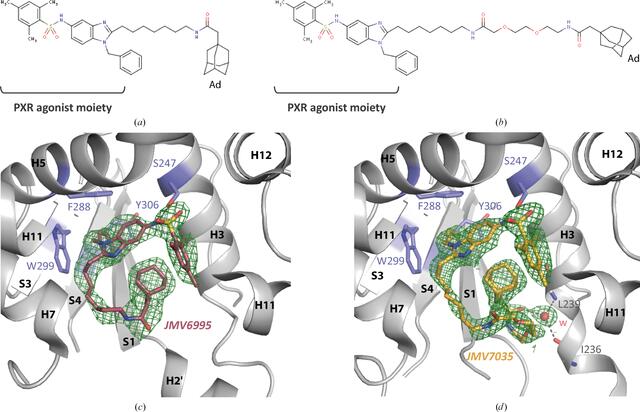 [Figure 4]