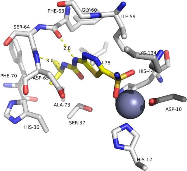Ispsf (IUCr) Analysis of Burkholderia pseudomallei IspF in complex with sulfa ...