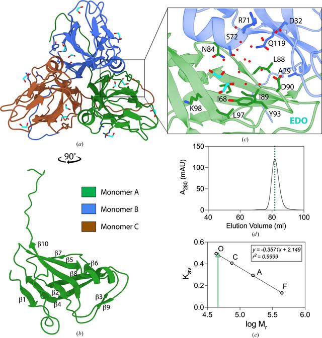 (IUCr) Structural characterization of dUTPase from Legionella pneumophila