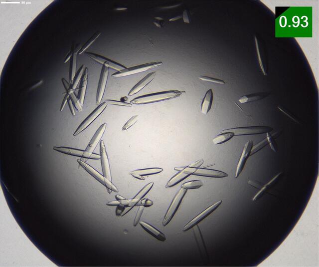 [Figure 1]