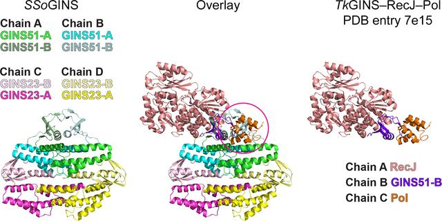 [Figure 3]
