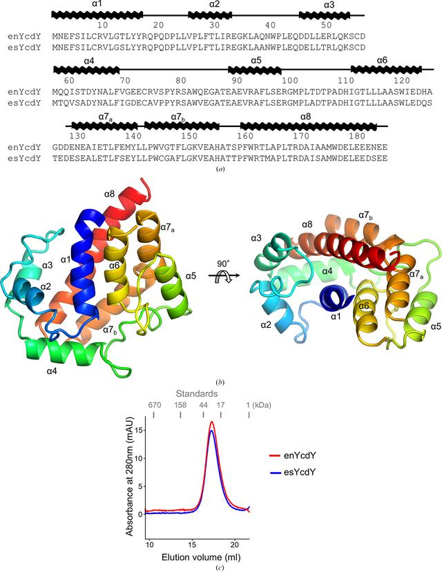 [Figure 1]